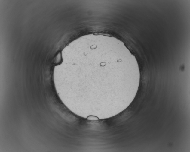 X0000115770516200912241752