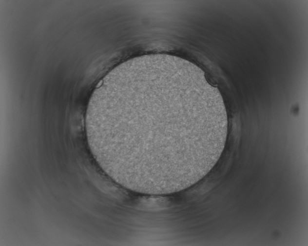 X0000115770517200912241752