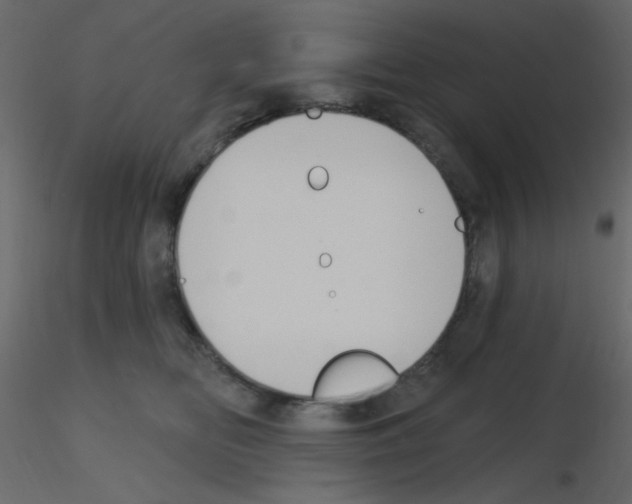 X0000115770518200912241752