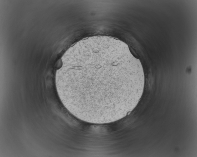 X0000115770520200912241752
