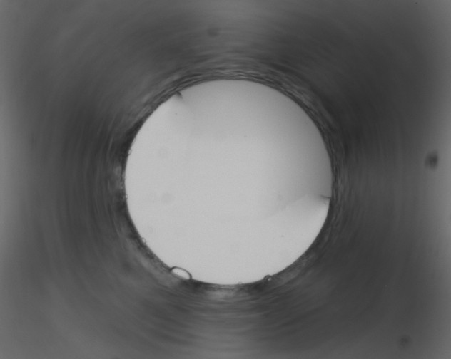 X0000115770521200912241752