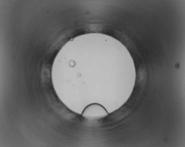 X0000115770522200912241752