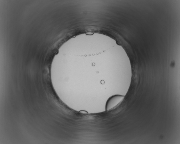 X0000115770523200912241752