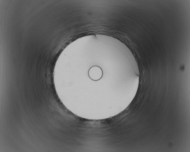 X0000115770524200912241752