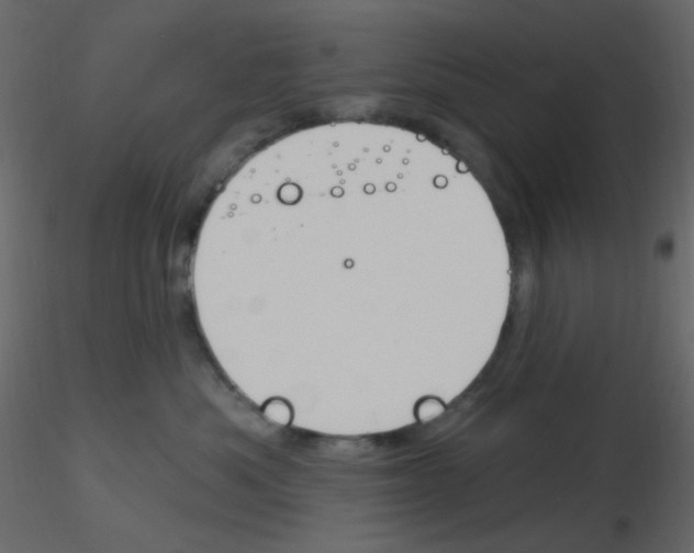 X0000115770525200912241752