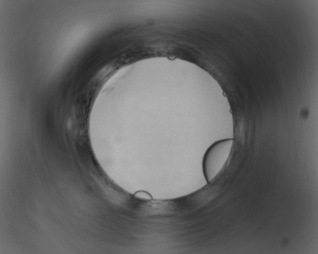 X0000115770526200912241752