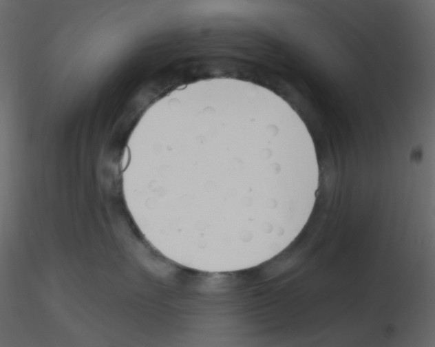 X0000115770527200912241752