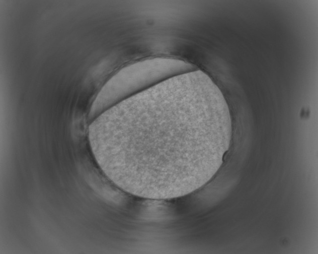 X0000115770528200912241752