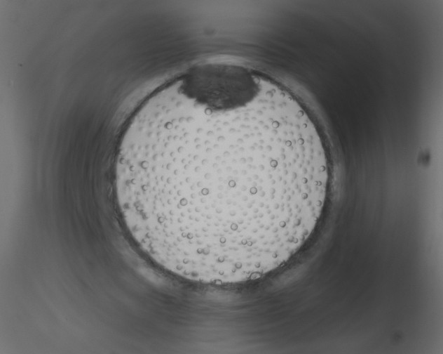 X0000115770529200912241752