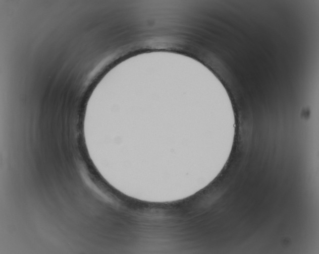 X0000115770530200912241752