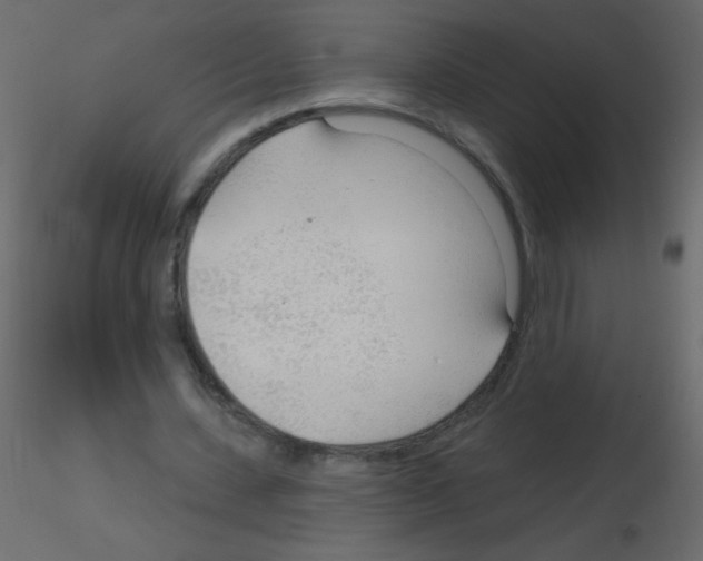X0000115770531200912241752