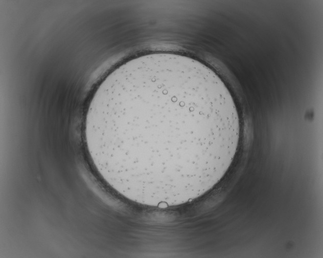 X0000115770533200912241752