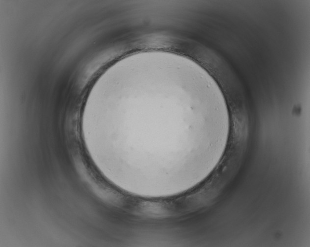 X0000115770534200912241752