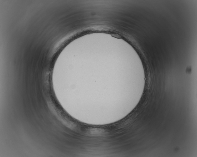 X0000115770535200912241752