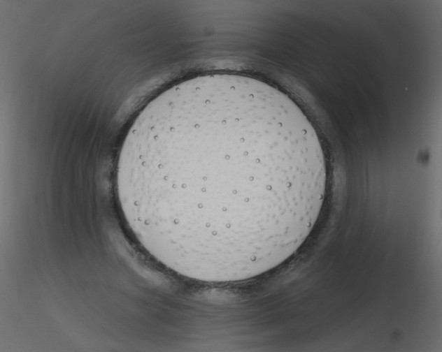 X0000115770537200912241752
