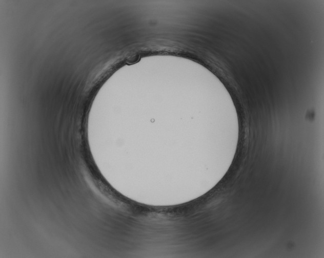 X0000115770538200912241752