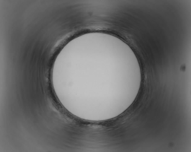 X0000115770539200912241752