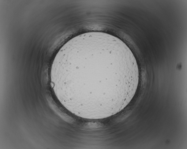 X0000115770541200912241752