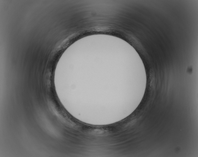 X0000115770542200912241752
