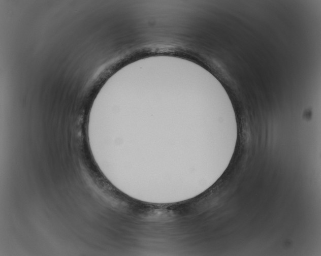 X0000115770543200912241752