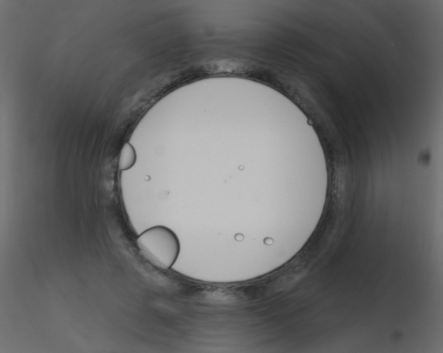X0000115770545200912241752