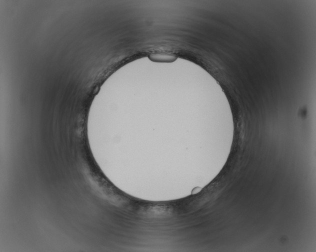X0000115770546200912241752