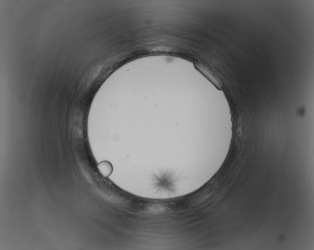 X0000115770547200912241752