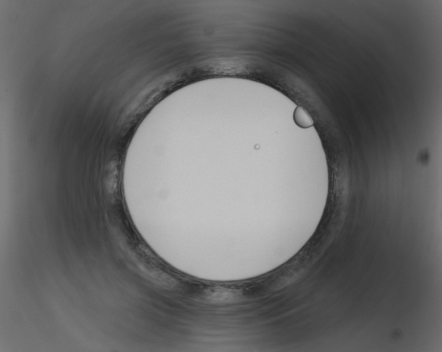 X0000115770549200912241752
