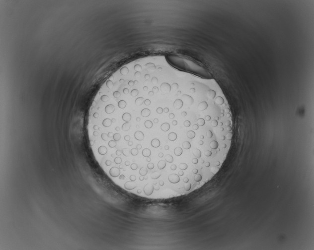 X0000115770550200912241752
