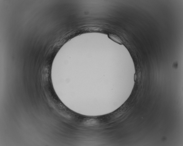 X0000115770551200912241752