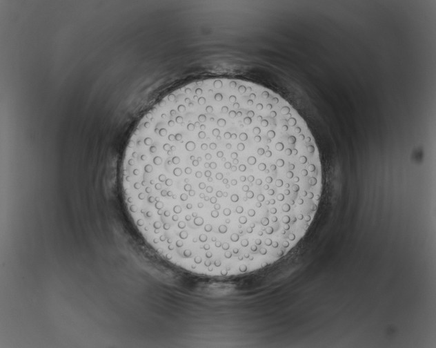 X0000115770554200912241752