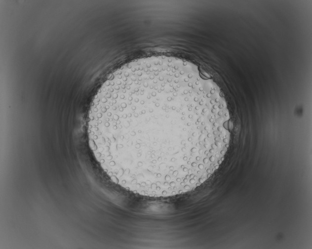 X0000115770555200912241752