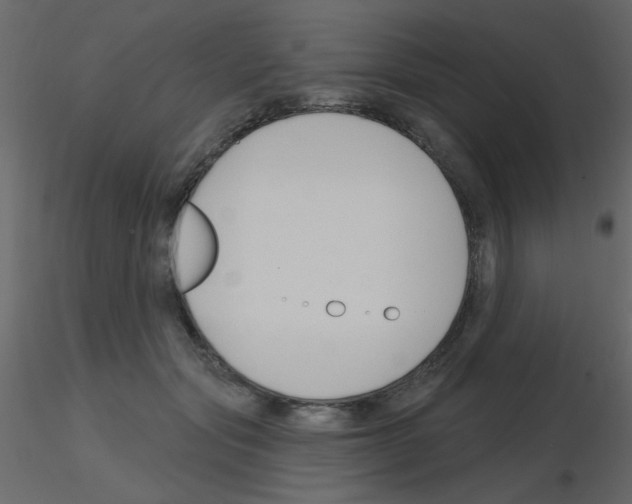 X0000115770557200912241752