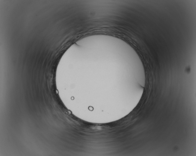 X0000115770558200912241752