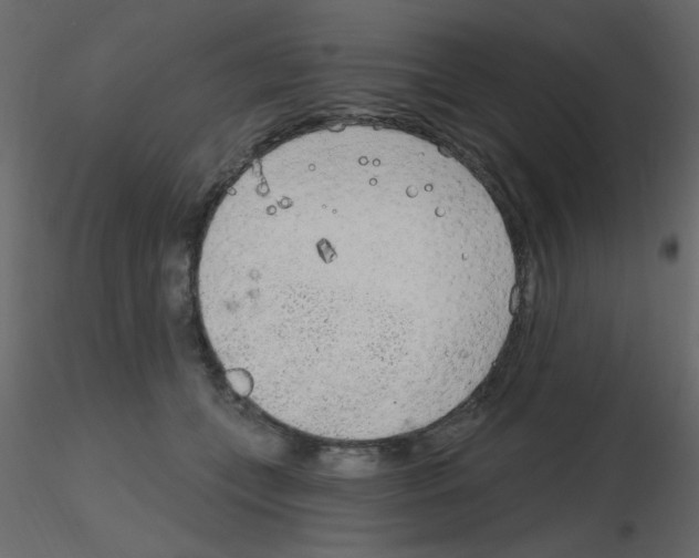X0000115770559200912241752