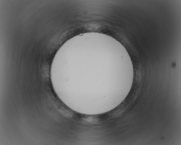 X0000115770561200912241752