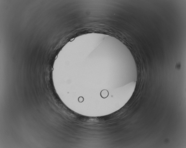 X0000115770562200912241752