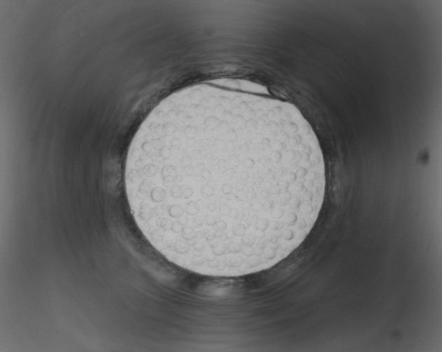 X0000115770563200912241752