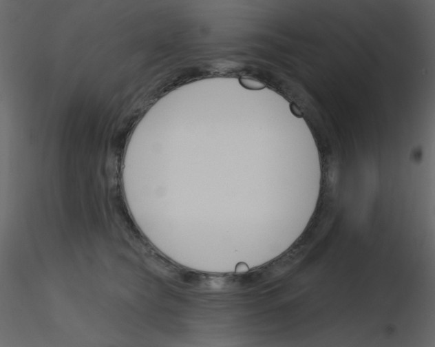 X0000115770565200912241752