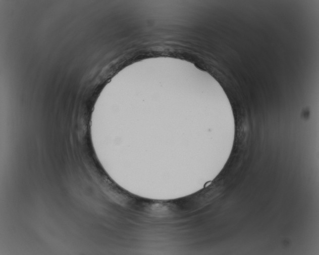 X0000115770566200912241752