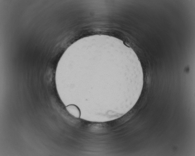 X0000115770567200912241752