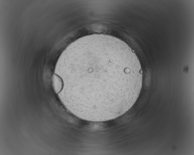 X0000115770569200912241752