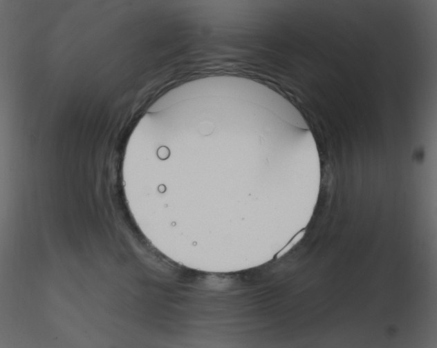 X0000115770570200912241752