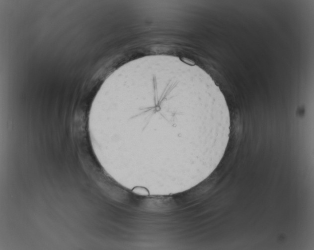 X0000115770571200912241752