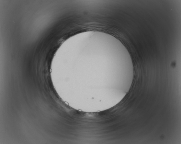X0000115770573200912241752