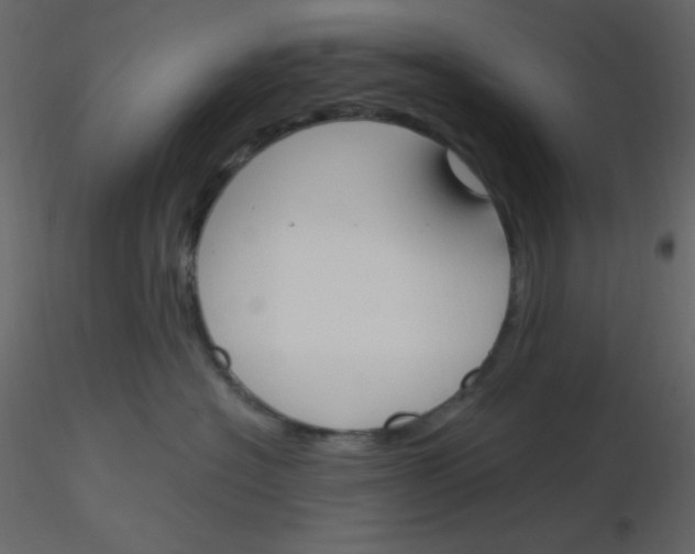 X0000115770574200912241752
