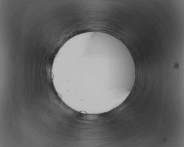 X0000115770575200912241752