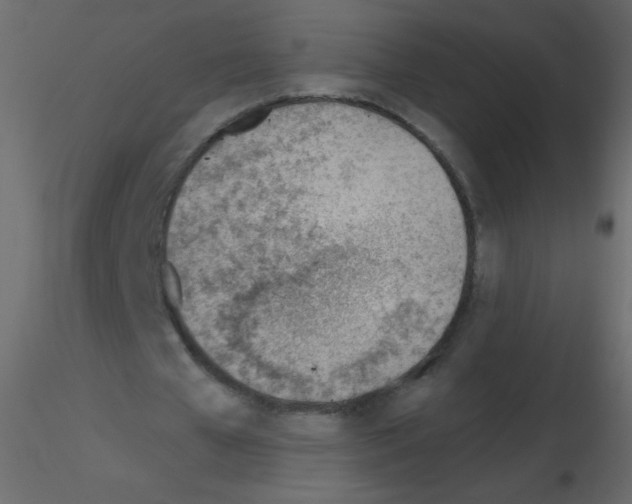 X0000115770577200912241752