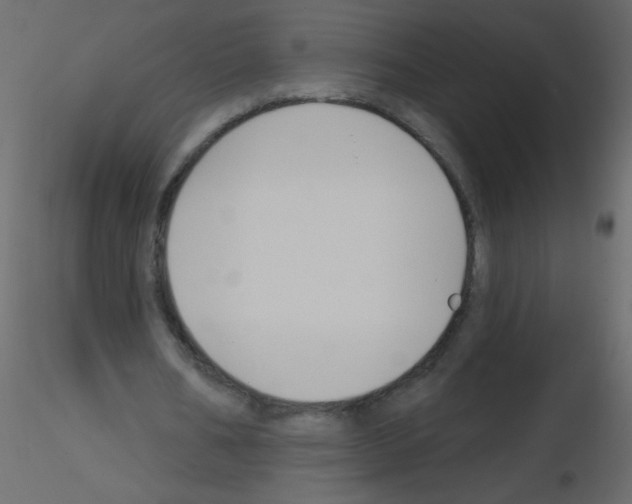 X0000115770578200912241752