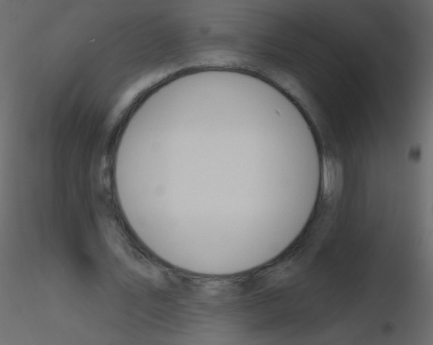 X0000115770579200912241752